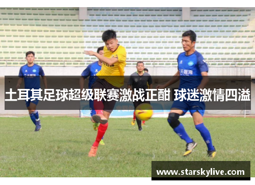 土耳其足球超级联赛激战正酣 球迷激情四溢