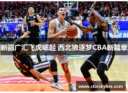 新疆广汇飞虎崛起 西北狼逐梦CBA新篇章