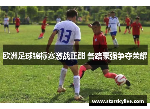 欧洲足球锦标赛激战正酣 各路豪强争夺荣耀